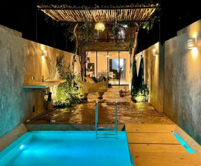 Serene, Zen-like oasis in the heart of Merida.